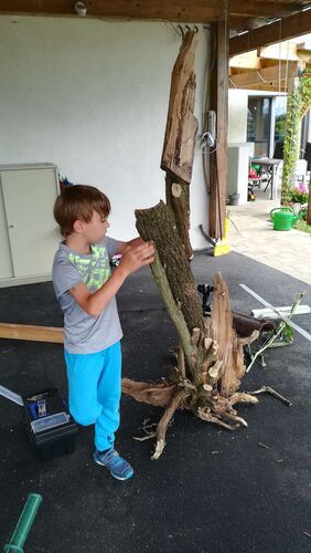 Young at Art - Lukas aus Vöcklabruck