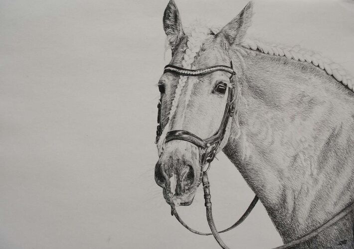 Young at Art - Marlene aus Ried