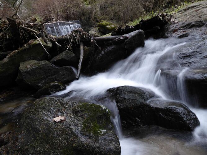 Young at Art - Emanuel aus Linz