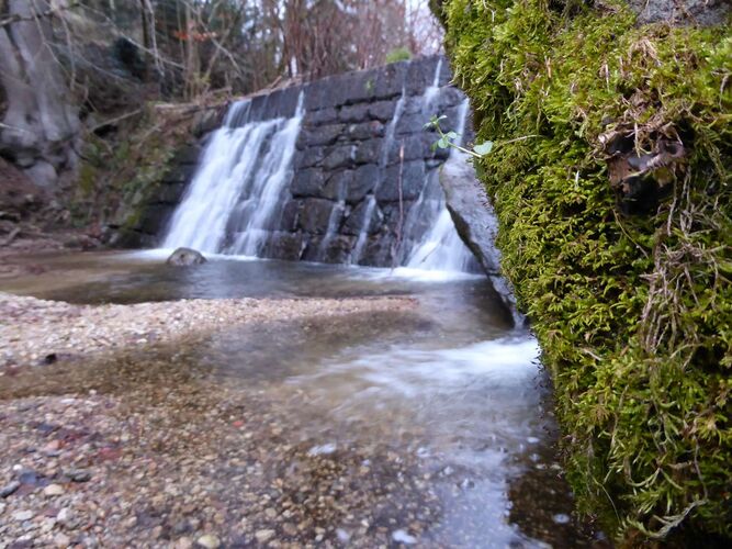 Young at Art - Emanuel aus Linz