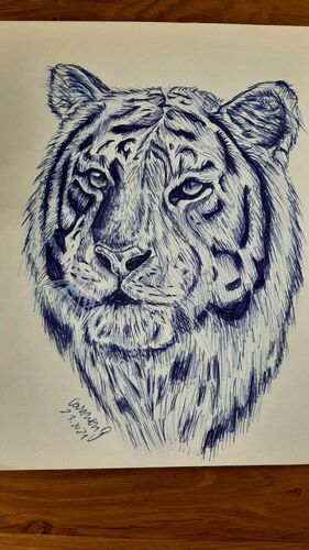 Young at Art - Carmen aus Enns