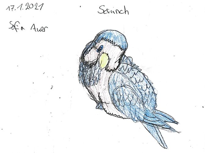 Young at Art - Sofia aus Linz