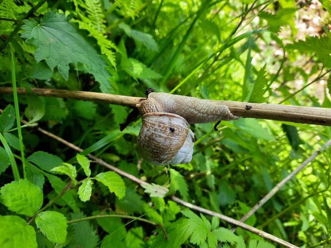 Young at Art - Teresa aus Urfahr-Umgebung