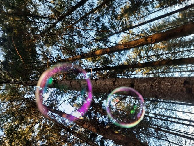 Young at Art - Franziska aus Urfahr-Umgebung