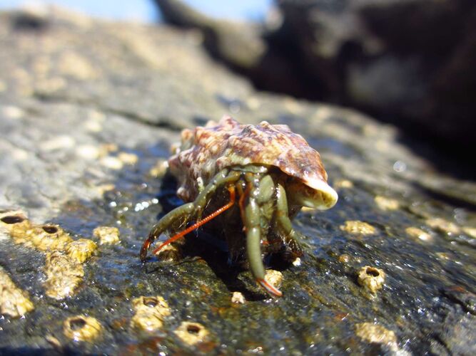 Young at Art - Lilli aus Rohrbach