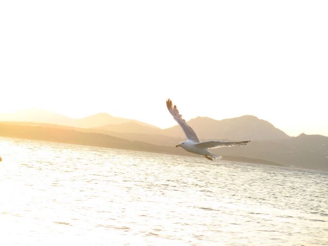 Young at Art - Lilli aus Rohrbach