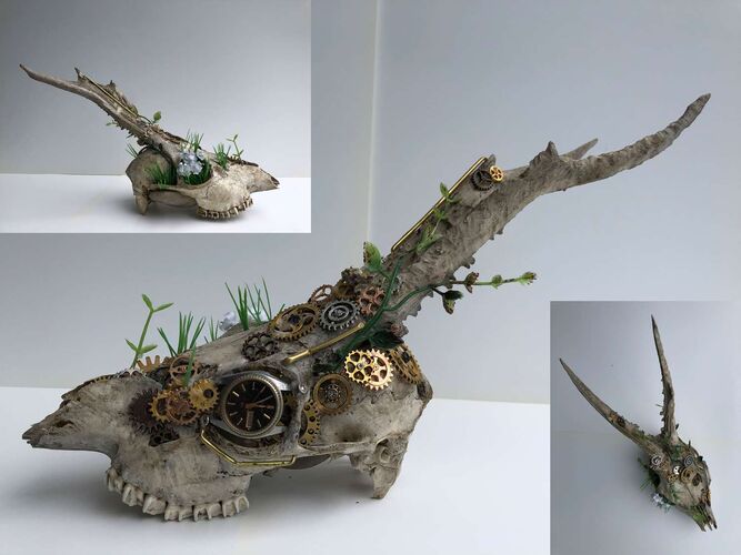 Young at Art - Elias aus Linz-Land