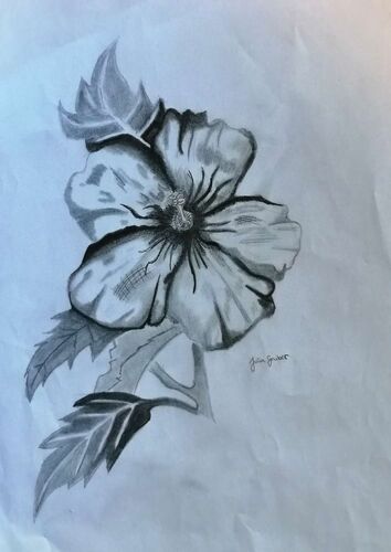 Young at Art - Julia aus Kirchdorf