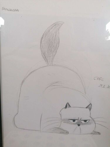 Young at Art - Claudia aus Perg