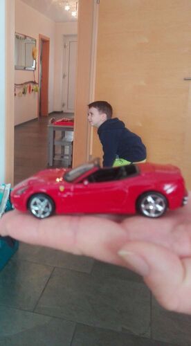 Young at Art - Florian  aus Linz-Land