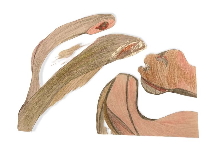 Young at Art - Leonie aus Gmunden