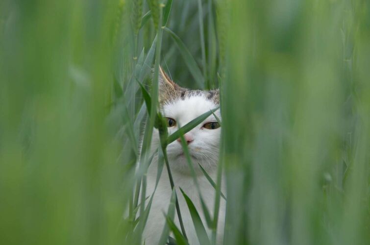 Young at Art - Veronika C. aus Urfahr-Umgebung