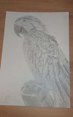 Young at Art - Elena aus Ried