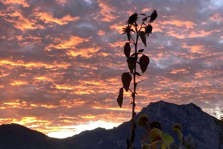 Young at Art - Katharina aus Gmunden