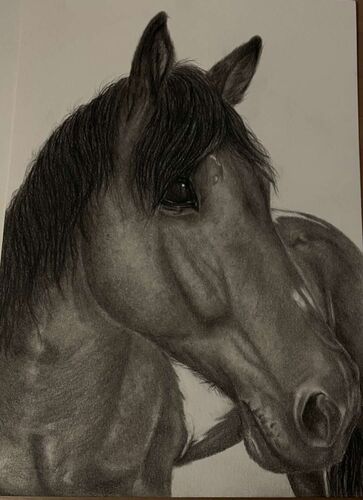 Young at Art - Christina  aus Ried