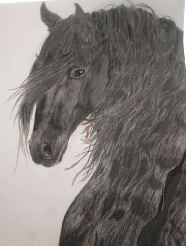 Young at Art - Emma aus Linz-Land