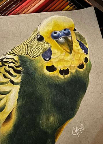 Young at Art - Eva aus Schärding