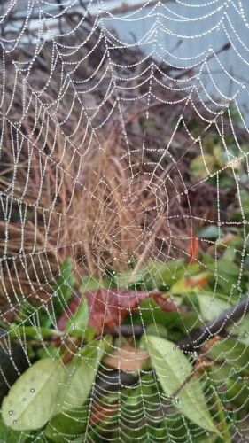 Young at Art - Jasmin aus Eferding