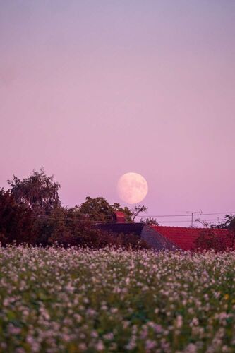 Young at Art - Clara aus Kirchdorf