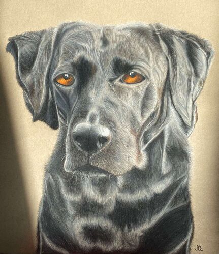 Young at Art - Anna aus Braunau