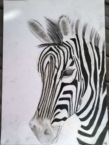 Young at Art - Nina aus Gmunden