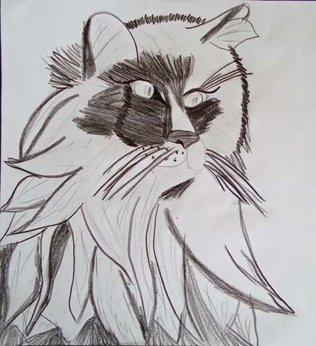 Young at Art - Verena aus Gmunden