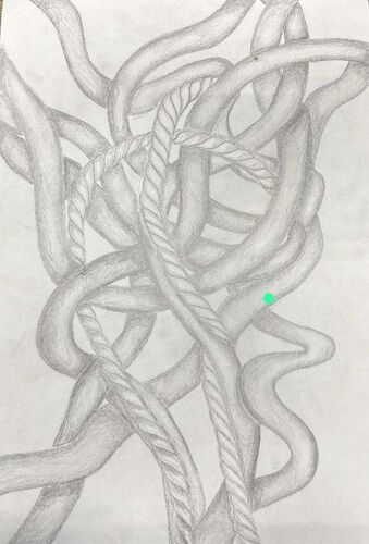 Young at Art - Emelie Marie  aus Braunau