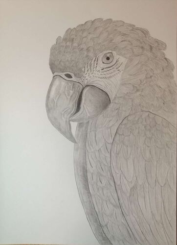 Young at Art - Sarah aus Braunau