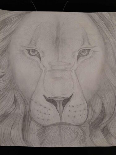 Young at Art - Miriam aus Braunau