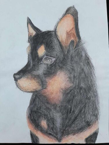 Young at Art - Miriam aus Braunau