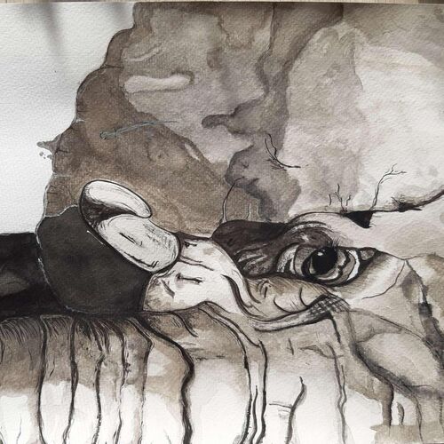 Young at Art - Hannah aus Perg