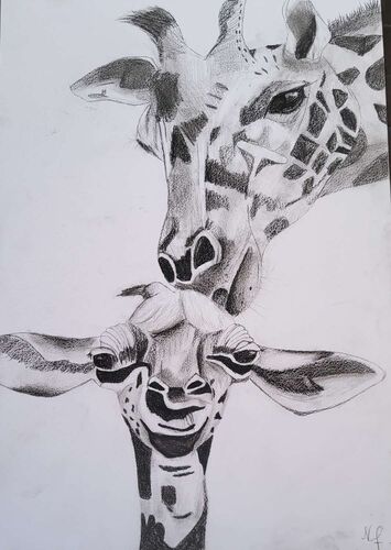 Young at Art - Nina aus Gmunden