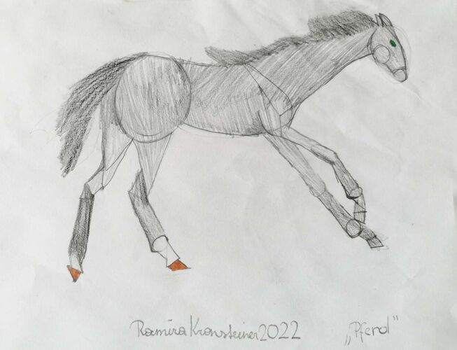 Young at Art - Ramira Luzia aus Kirchdorf