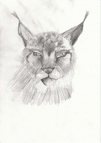 Young at Art - Leonie aus Schärding