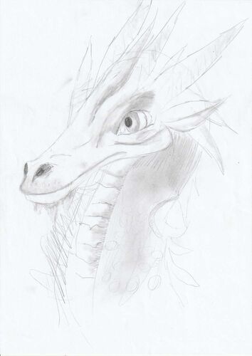 Young at Art - Leonie aus Schärding