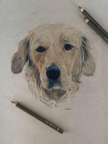 Young at Art - Amelie Madlene aus Urfahr-Umgebung