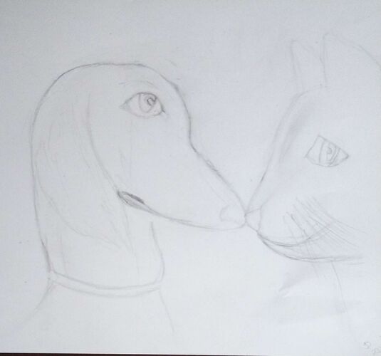 Young at Art - Julia aus Braunau