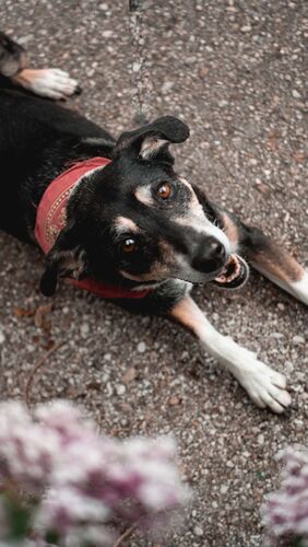 Young at Art - Clara aus Kirchdorf