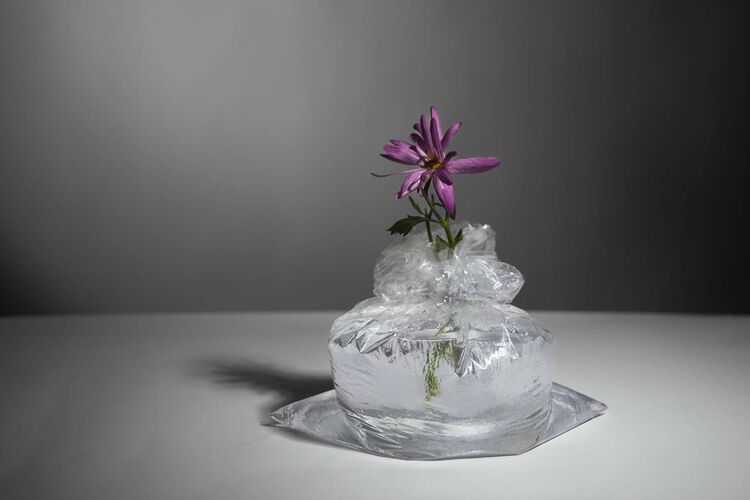 Young at Art - Amelie aus Ried