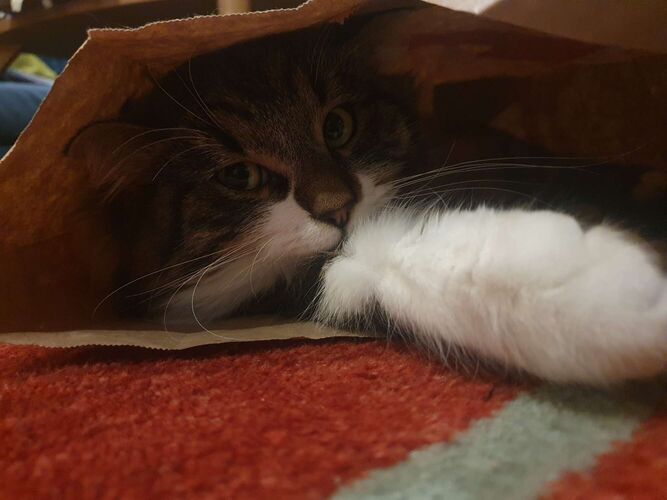 Young at Art - Enja aus Urfahr-Umgebung