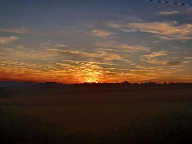 Young at Art - Laurin aus Ried