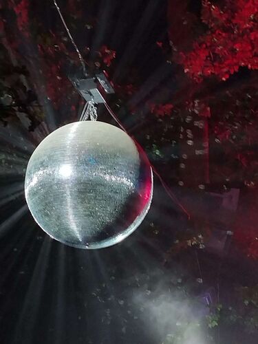 Young at Art - Laurin aus Ried