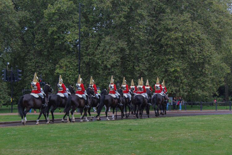 Young at Art - Amelie aus Ried