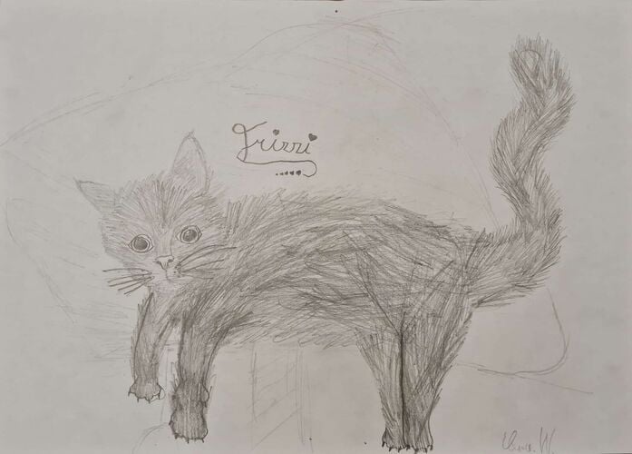 Young at Art - Elena aus Gmunden