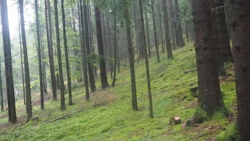 Young at Art - Eva aus Freistadt