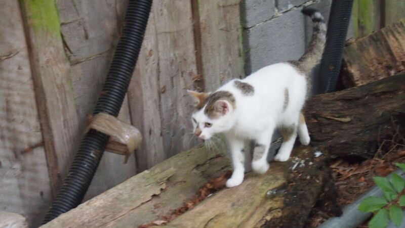 Young at Art - Eva aus Freistadt