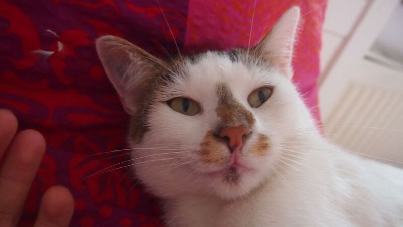 Young at Art - Eva aus Freistadt