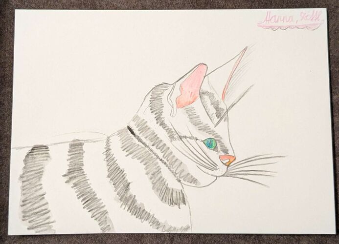 Young at Art - Hanna aus Steyr