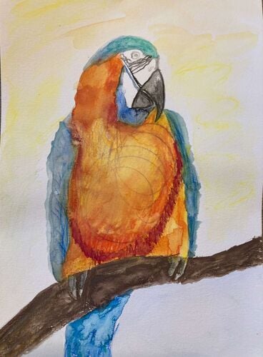 Young at Art - David aus Eferding