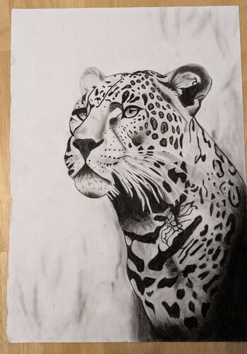 Young at Art - Leonie aus Kirchdorf